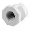 clapet-anti-retour-hayward-c250-c500